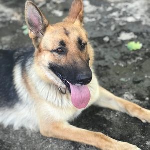 Meet your Posher, Katonya